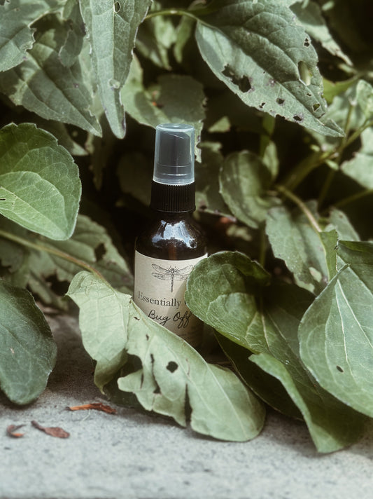 Bug Off: Bug Spray